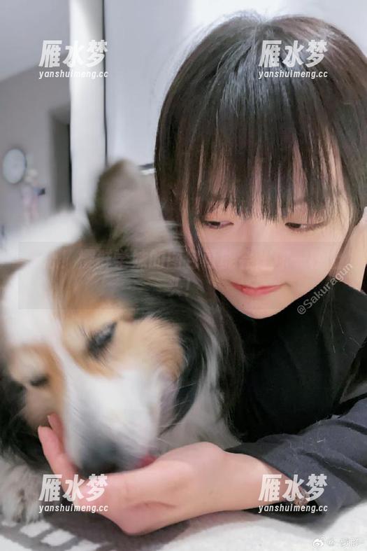 小心！樱群学妹的图包可能会让你一秒上头！