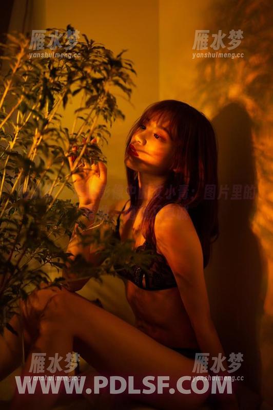轰趴猫 - 透明影像中的艾小青：图片里的弯曲，随意又真诚