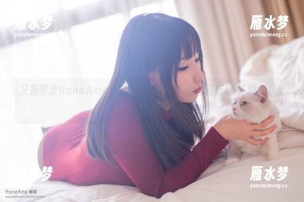 又是雨波HaneAme搞的鬼啊，图包名为碧蓝航线-齐柏林，里面有些许意外。